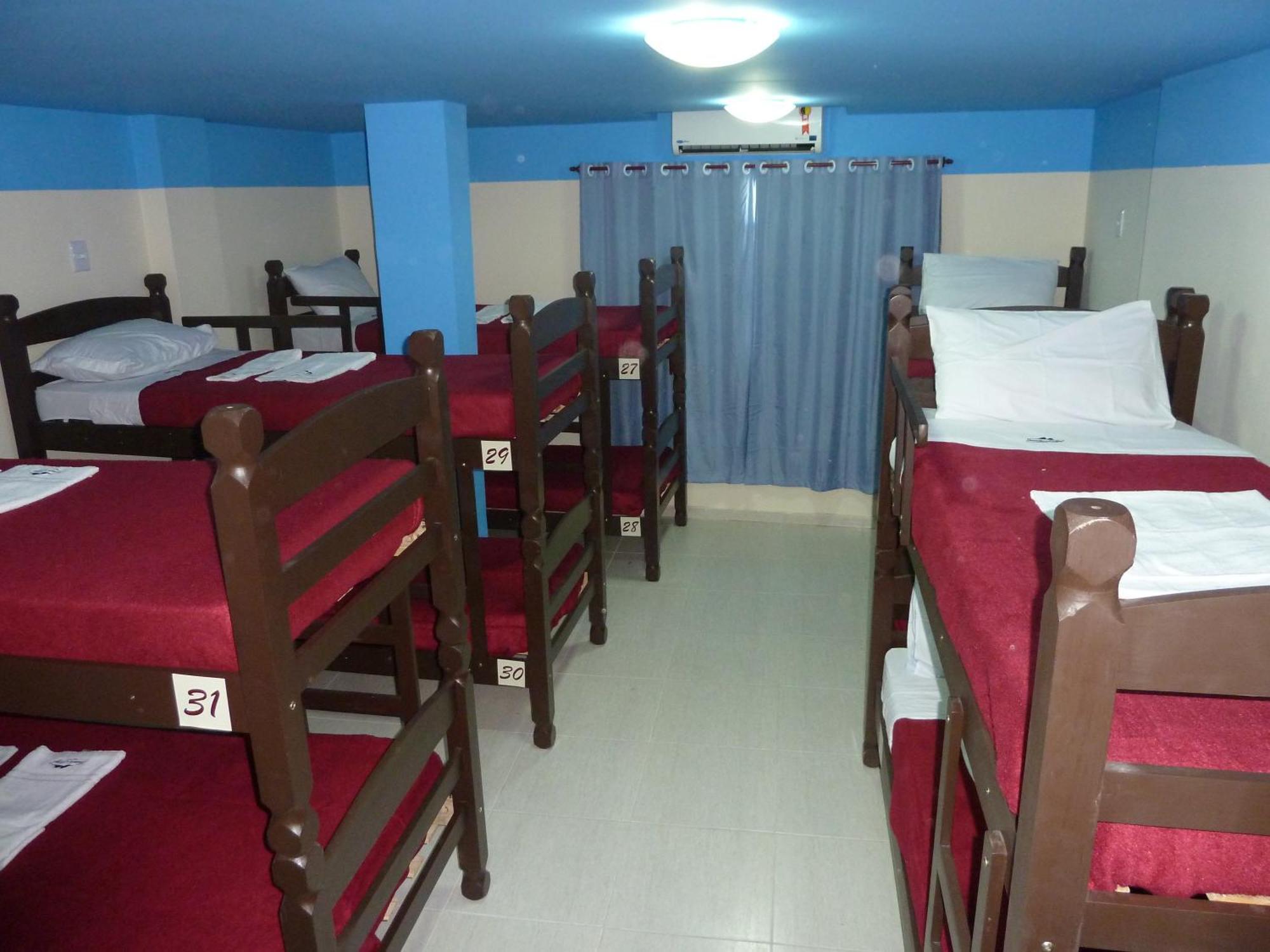 Bunk Bed in Mixed Dormitory Room